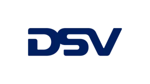 dsv-logo